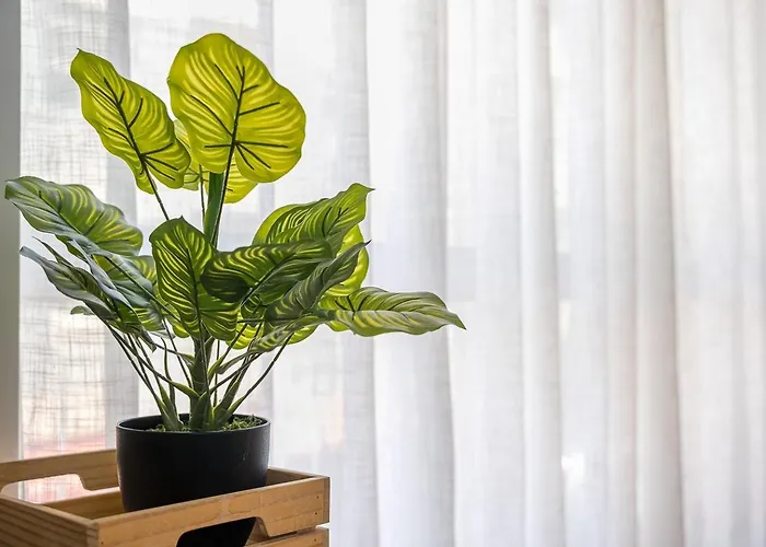 Guestready - Lovely Family In Boavista * Porto